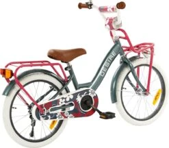 2Cycle Desire Kinderfiets - 18 Inch - Voordrager - Grijs - Meisjesfiets -Fietsuitrustings Winkel 1200x1049 3