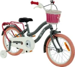 2Cycle Pretty Meisjesfiets - 16 Inch - Grijs-Roze - Meisjesfiets -Fietsuitrustings Winkel 1200x1062 1