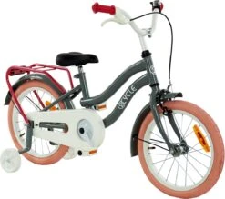2Cycle Pretty Meisjesfiets - 16 Inch - Grijs-Roze - Meisjesfiets -Fietsuitrustings Winkel 1200x1062