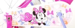 Disney Minnie Cutest Ever! Kinderfiets - Meisjes - 16 Inch - Roze -Fietsuitrustings Winkel 1200x459