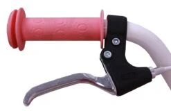 Amigo Superstar Meisjesfiets - Kinderfiets 20 Inch - Roze -Fietsuitrustings Winkel 1200x777