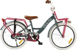 2Cycle Desire Kinderfiets - 20 Inch - Voordrager -Grijs-Roze - Meisjesfiets -Fietsuitrustings Winkel 1200x783 5