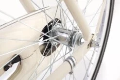 Amigo Forest - Transportfiets 28 Inch - Damesfiets Met Voordrager - Crème -Fietsuitrustings Winkel 1200x800 141