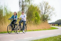 Amigo E-Vibe D1 - Elektrische Stadsfiets Voor Heren - Met 7 Versnellingen - Matgrijs -Fietsuitrustings Winkel 1200x800 23