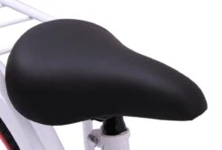 Amigo Sweetheart Meisjesfiets - Kinderfiets 20 Inch - Wit -Fietsuitrustings Winkel 1200x813