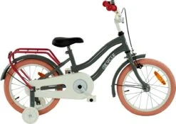 2Cycle Pretty Meisjesfiets - 16 Inch - Grijs-Roze - Meisjesfiets -Fietsuitrustings Winkel 1200x849
