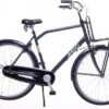 Amigo Forest - Transportfiets 28 Inch - Herenfiets Met Voordrager - Grijs