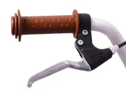 Amigo Bloom Meisjesfiets - Kinderfiets 20 Inch - Turquoise -Fietsuitrustings Winkel 1200x876