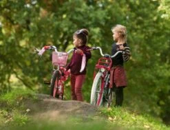 Amigo Bloom Meisjesfiets - Kinderfiets 20 Inch - Turquoise -Fietsuitrustings Winkel 1200x917 46