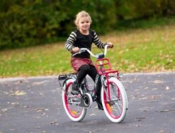 Amigo Bloom Meisjesfiets - Kinderfiets 20 Inch - Turquoise -Fietsuitrustings Winkel 1200x917 47