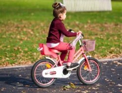Amigo Magic Meisjesfiets - Kinderfiets 12 Inch - Roze -Fietsuitrustings Winkel 1200x917 67