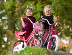 Amigo Magic Meisjesfiets - Kinderfiets 12 Inch - Roze -Fietsuitrustings Winkel 1200x917 69