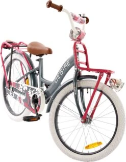 2Cycle Desire Kinderfiets - 20 Inch - Voordrager -Grijs-Roze - Meisjesfiets -Fietsuitrustings Winkel 938x1200